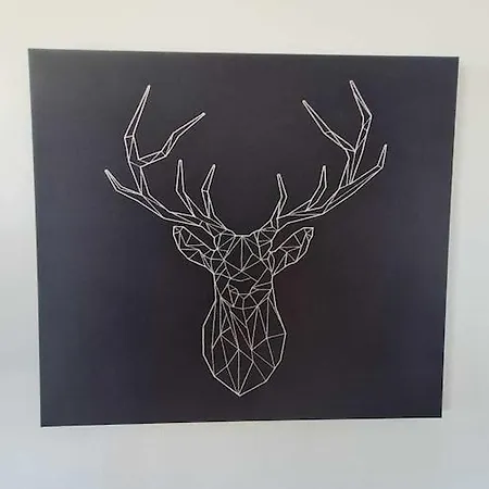 Διαμέρισμα In *